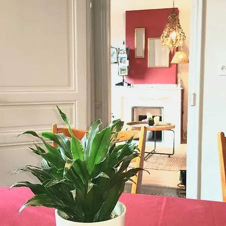 Maison Bastide * Carcasona